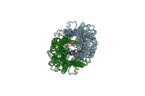 8HF7 image