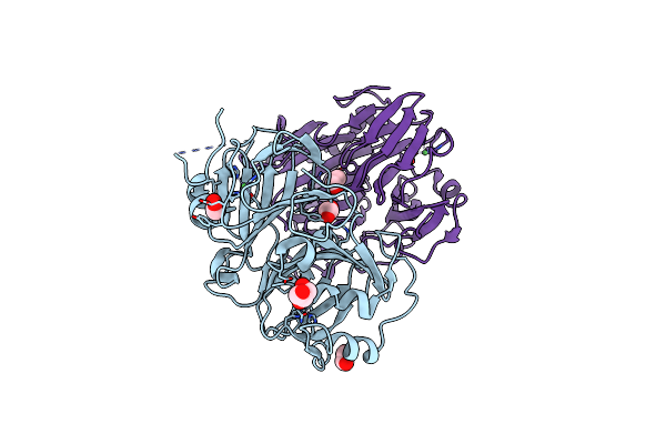 8HFB image