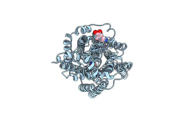 8HFG image