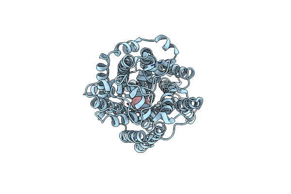 8HFI image