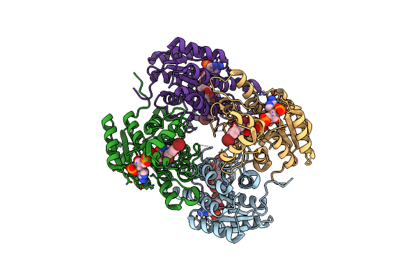 8HFK image