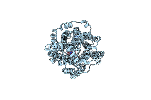 8HFL image