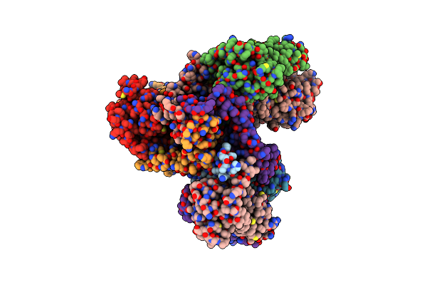 8HFS image