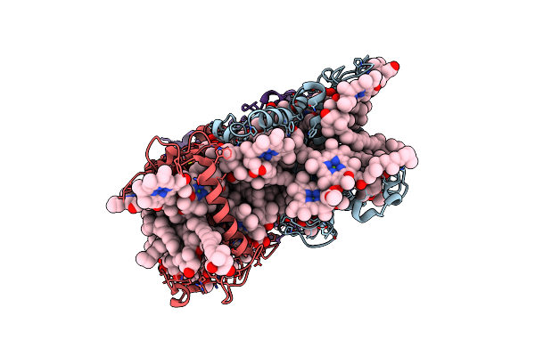 8HG6 image