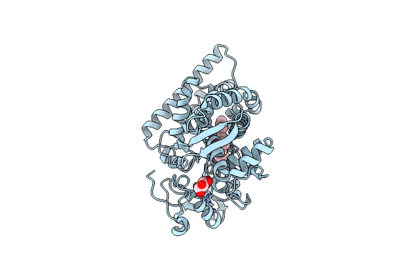 8HGD image