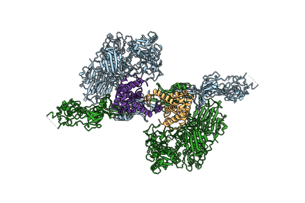8HGH image