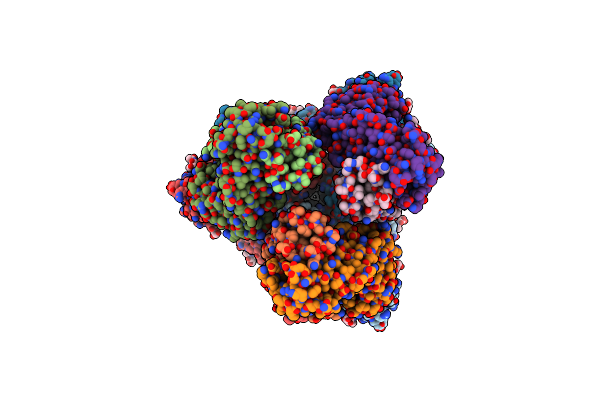 8HGL image
