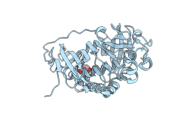 8HGN image