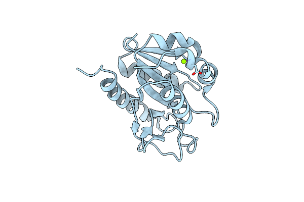8HGR image