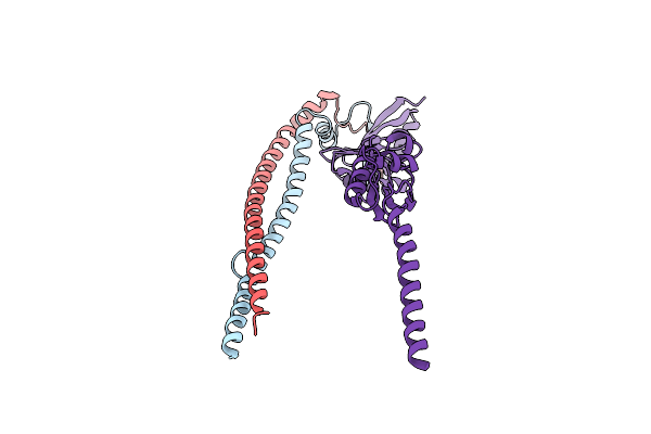 8HHF image