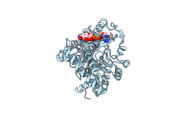 8HHO image