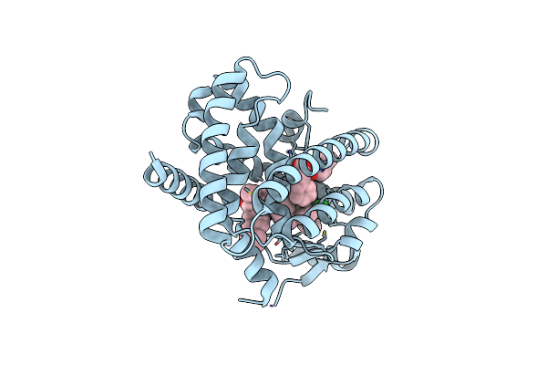 8HHP image