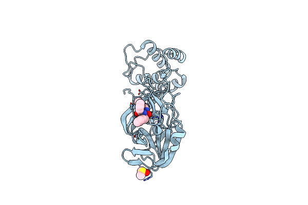 8HHT image