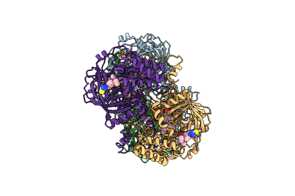 8HID image