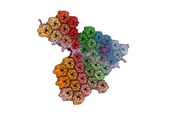 8HIF image