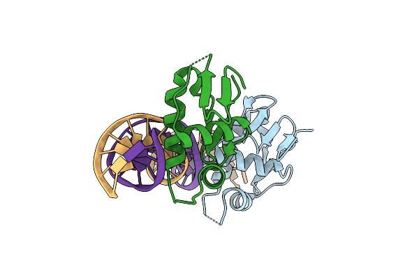 8HIG image
