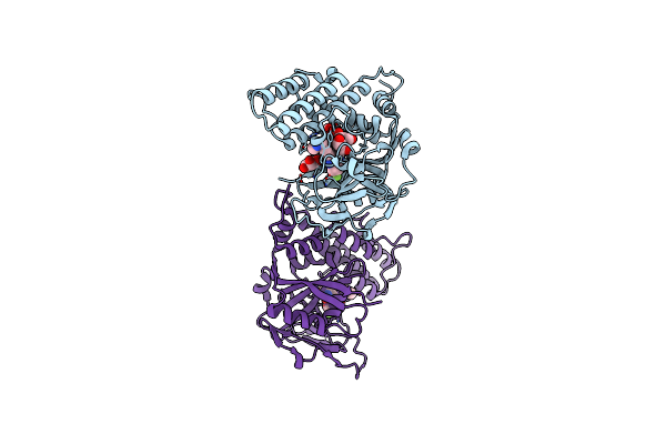 8HKO image