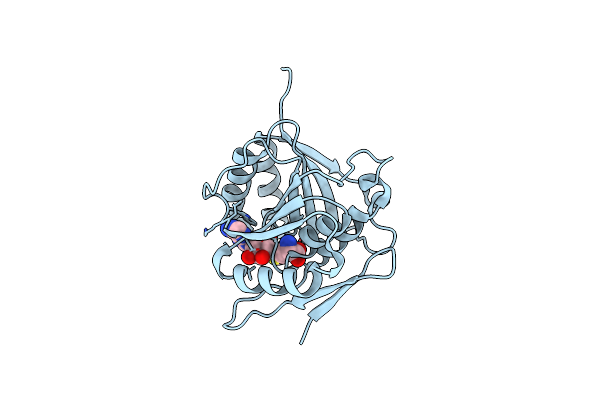 8HL6 image