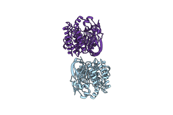 8HL8 image