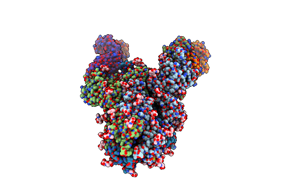 8HLC image