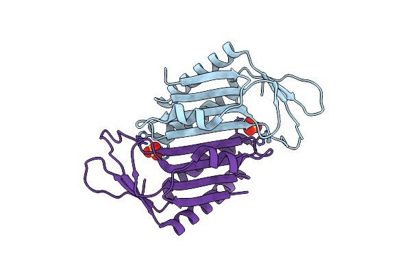 8HLG image