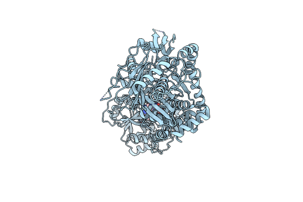 8HLK image