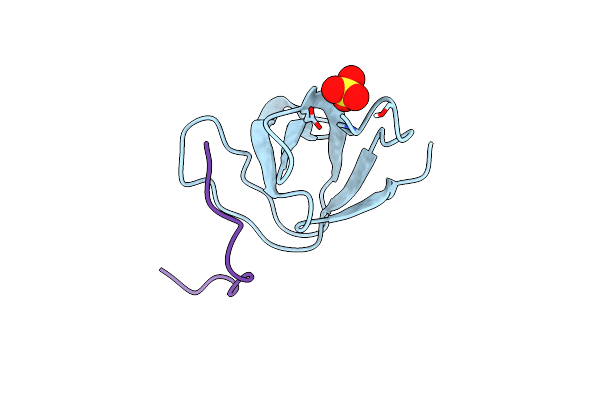 8HLO image