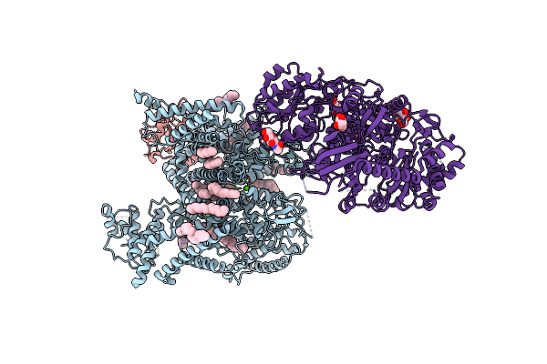 8HLP image