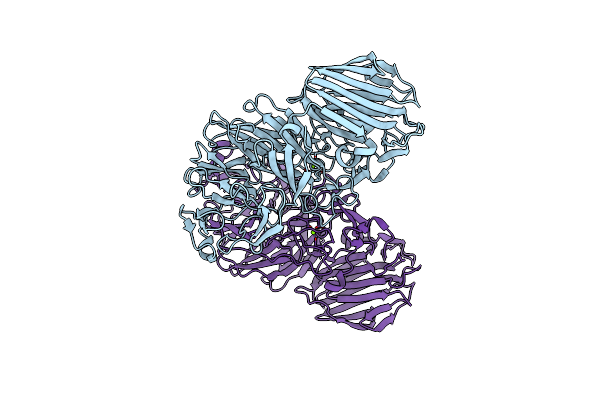 8HLS image
