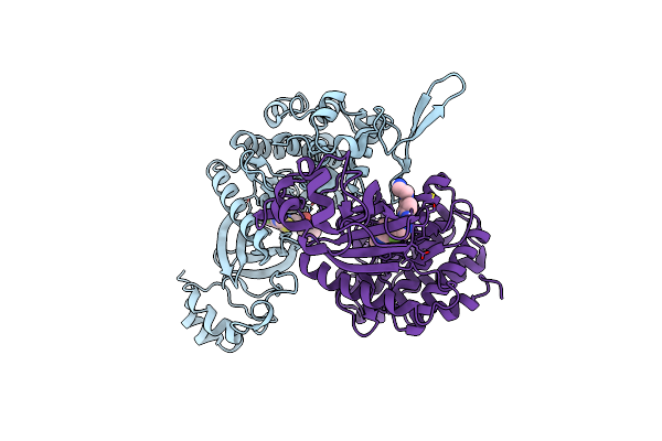 8HLT image