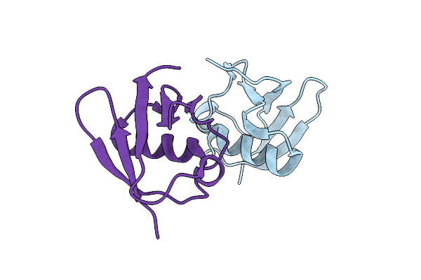8HM2 image