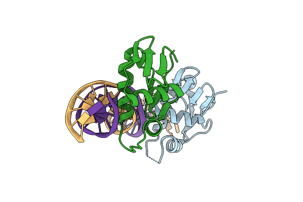 8HML image