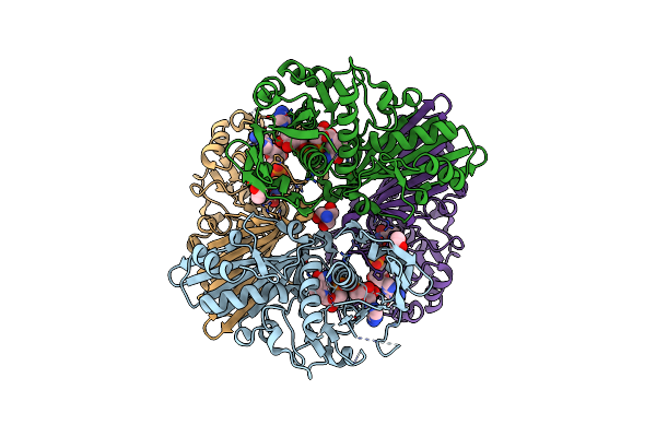8HMN image
