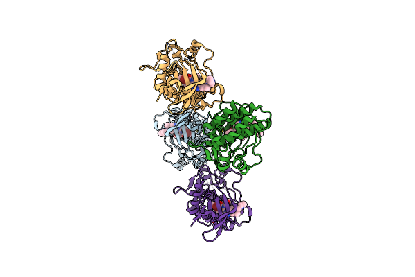 8HMT image