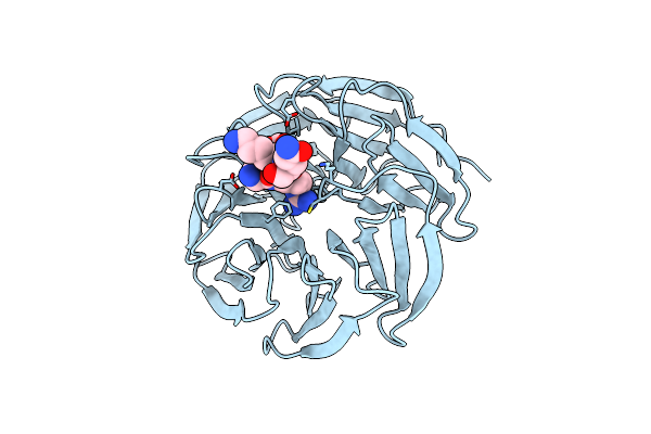 8HMX image