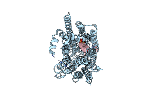 8HND image