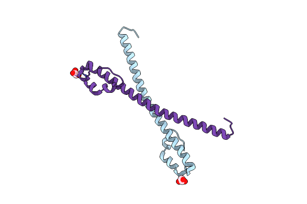 8HNS image