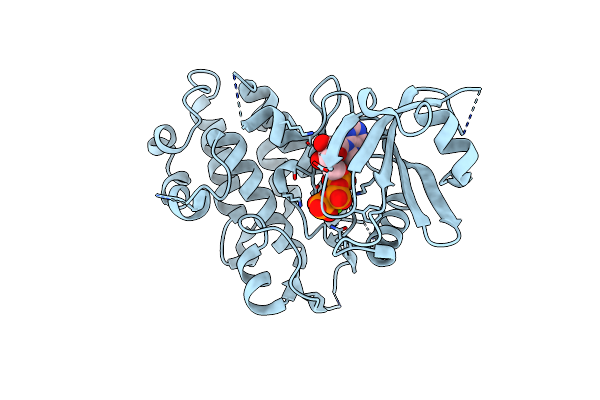 8HO6 image