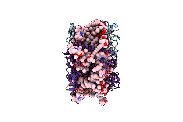 8HPD image