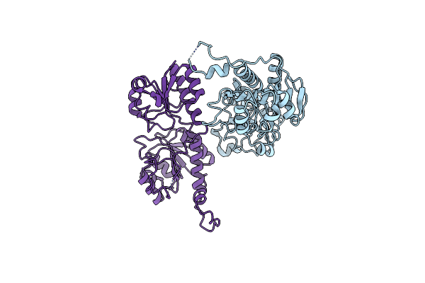 8HPG image