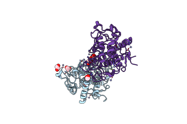 8HPI image