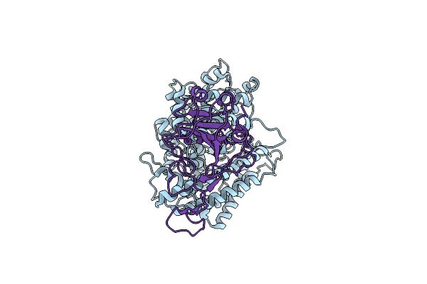 8HRL image