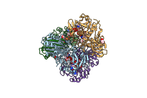 8HRS image