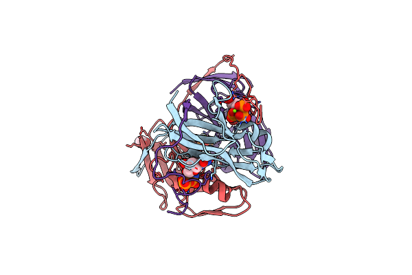 8HRV image
