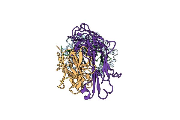8HRX image
