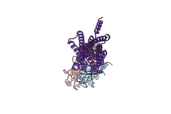 8HS2 image