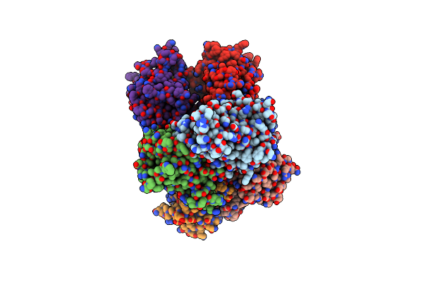 8HSA image