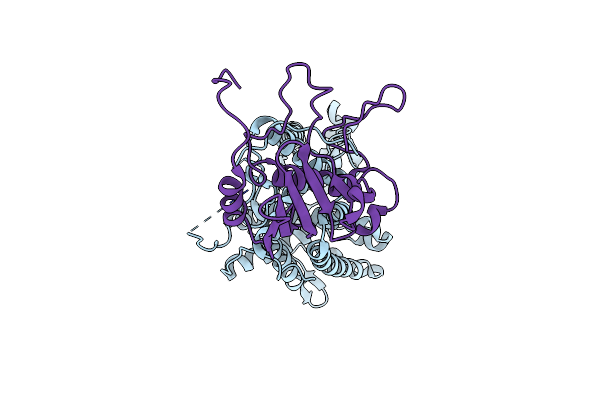 8HSB image