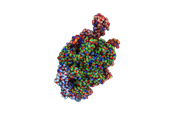 8HSG image