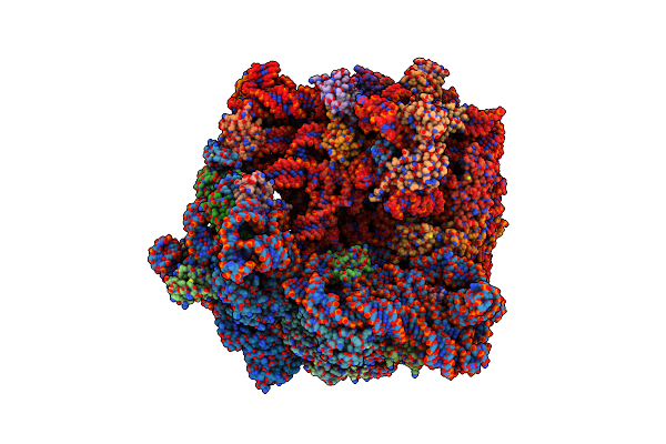 8HSP image